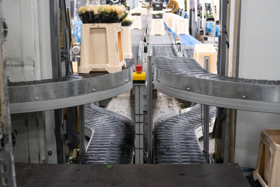All-purpose spiral conveyor for medium to large products